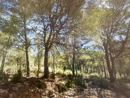 PLOT OF LAND FOR SALE IN ALEDO WITH OPTION TO PROJECT