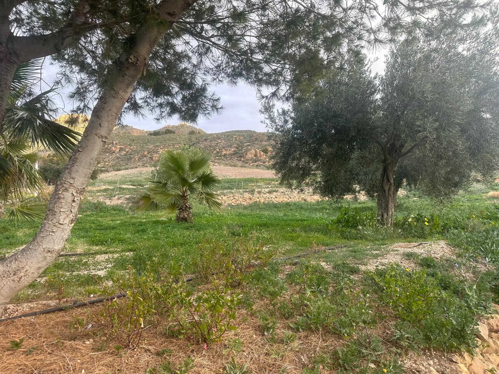 Charming Country Finca in Mazarrón