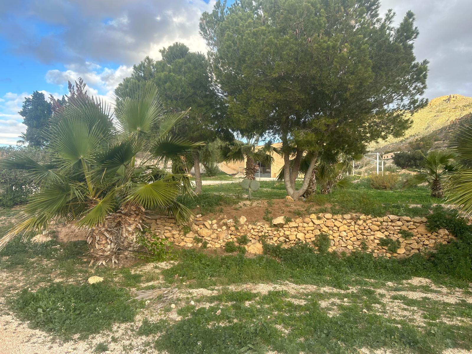 Charming Country Finca in Mazarrón