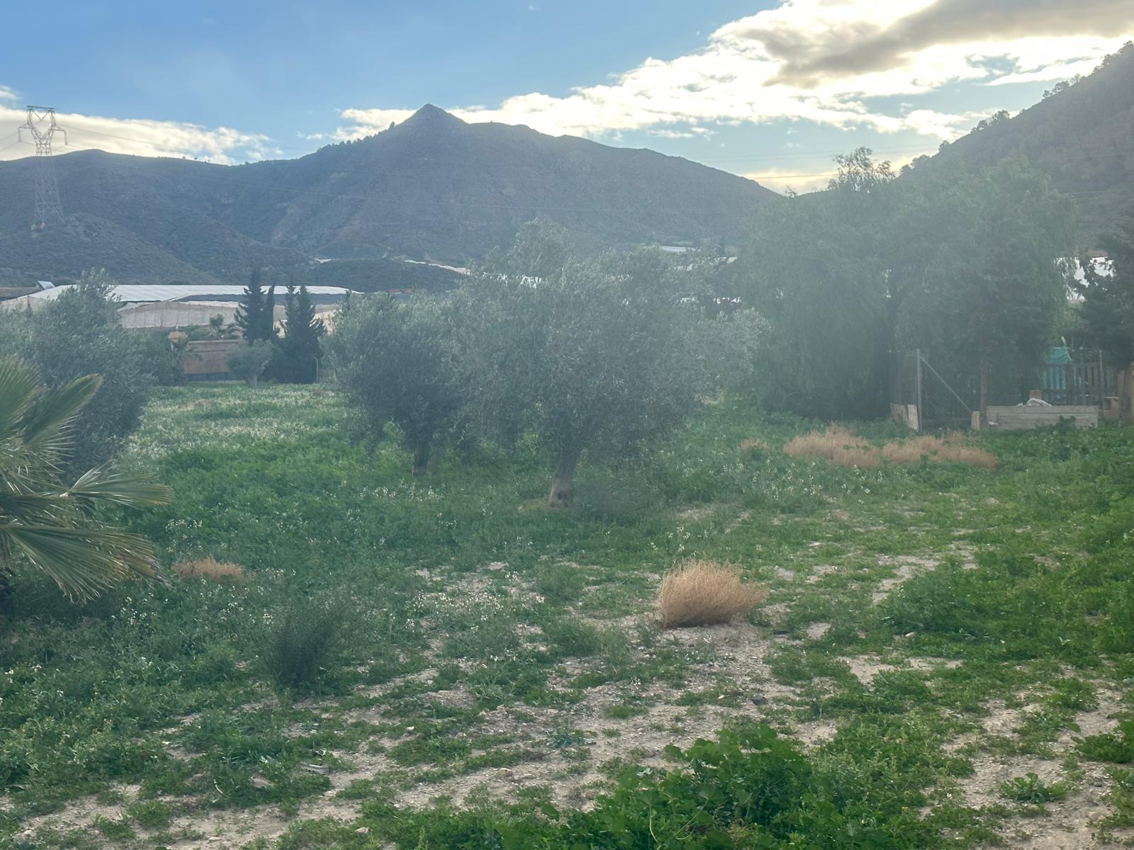 Charming Country Finca in Mazarrón