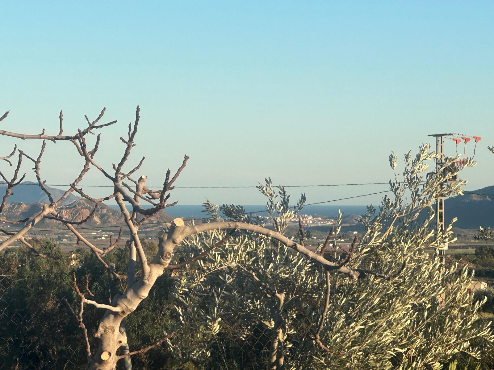 Charming Finca in La Majada