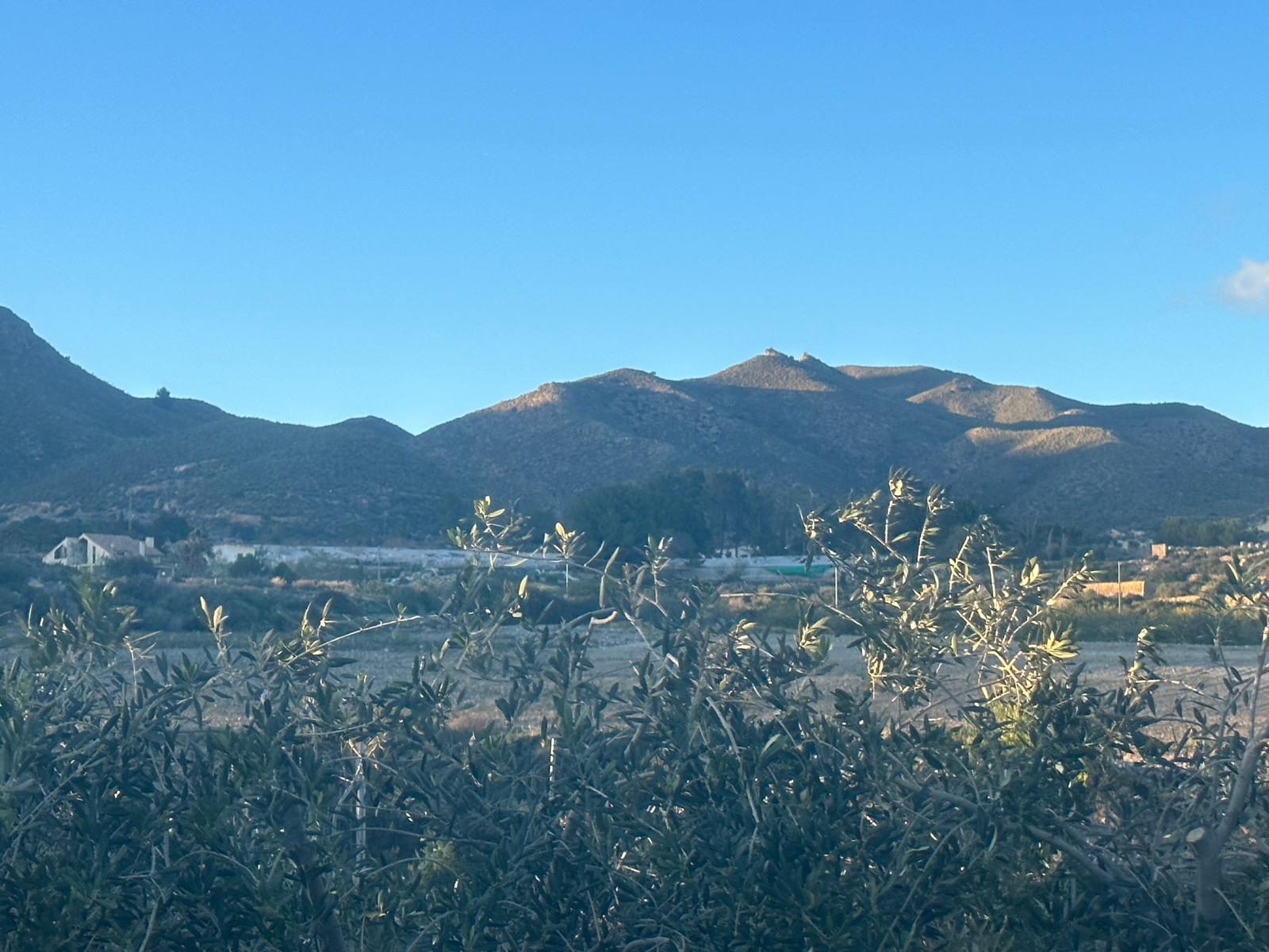 Charming Finca in La Majada