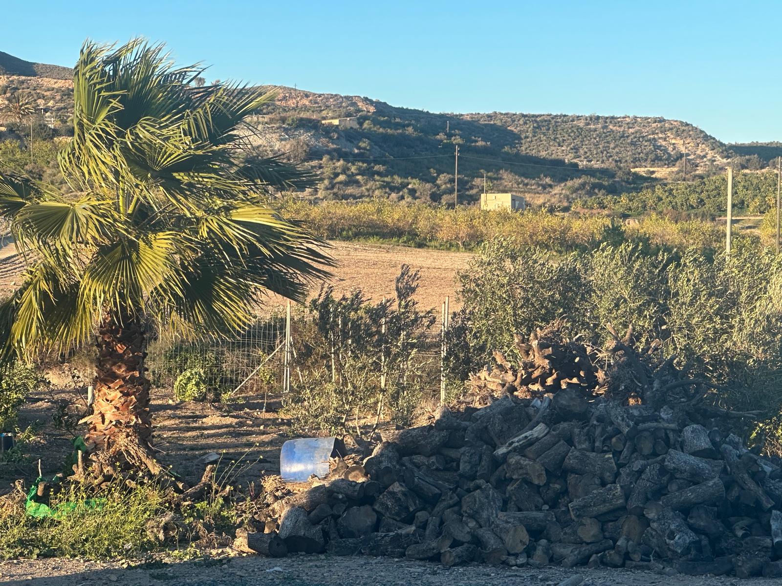 Charming Finca in La Majada