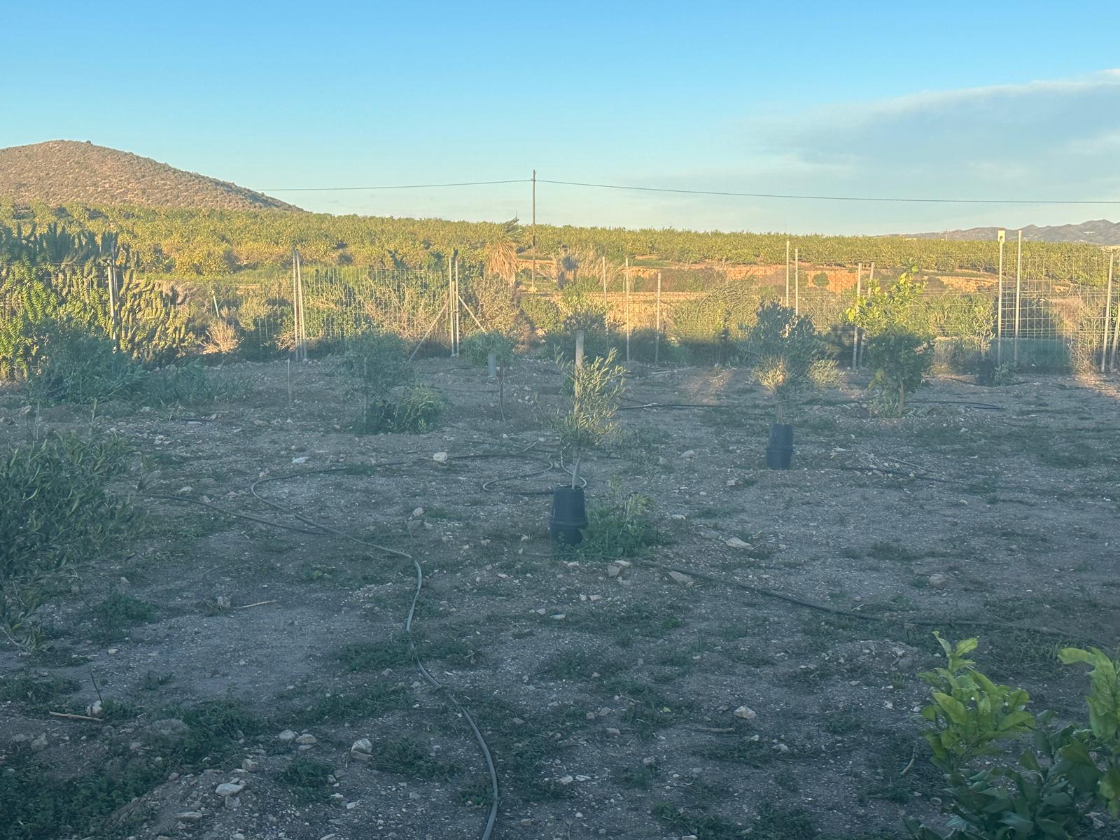 Charming Finca in La Majada