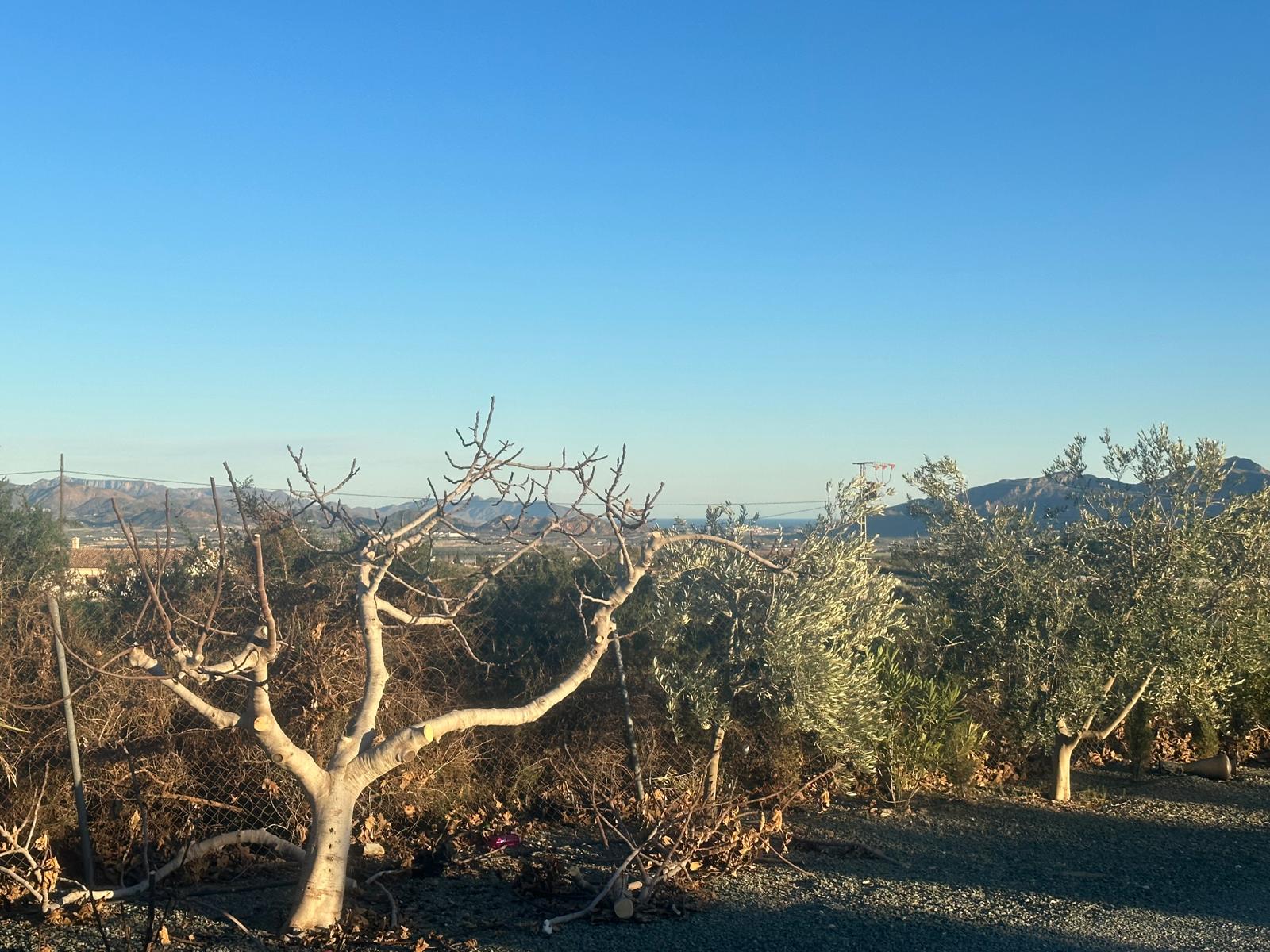 Charming Finca in La Majada