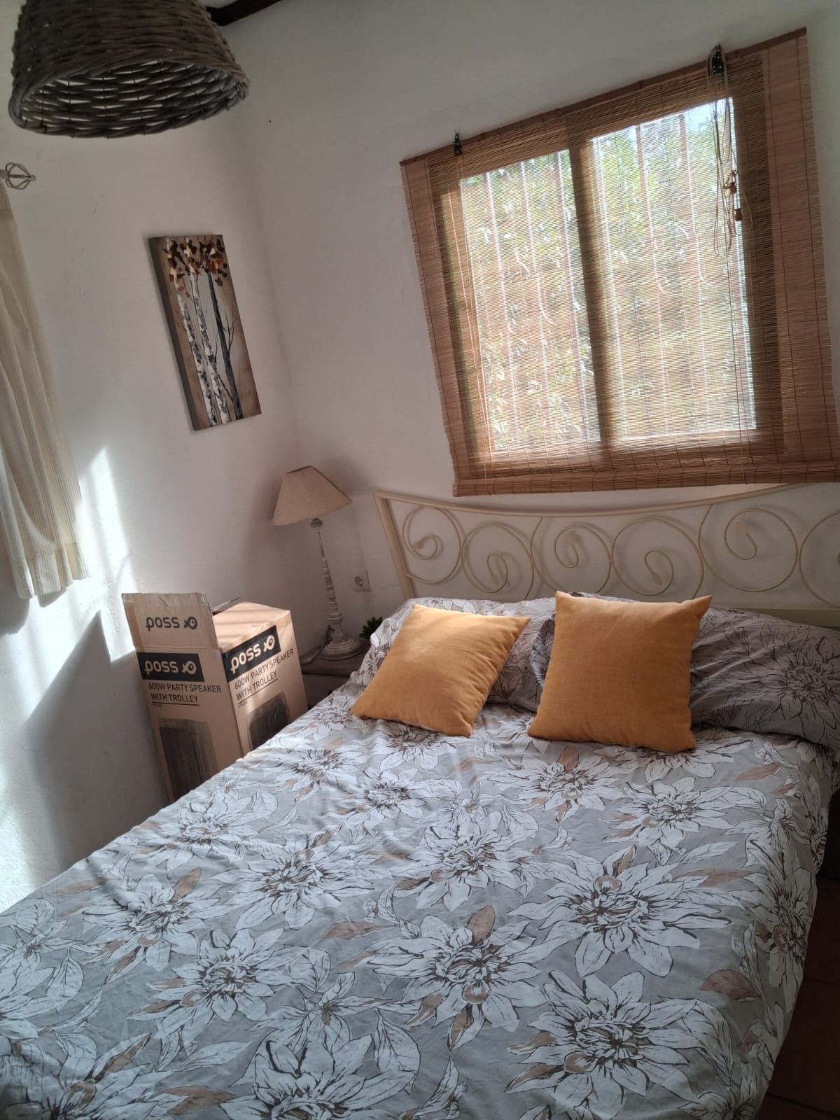 BEAUTIFUL COUNTRY HOUSE IN PASTRANA